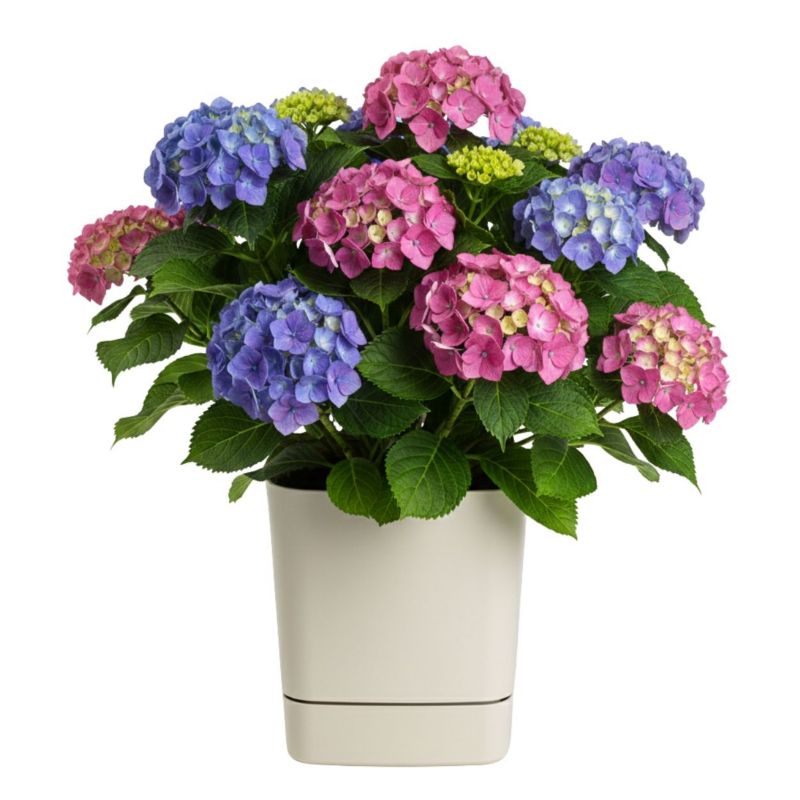 Donica z podstawką CUBI HowHomely plastikowa beżowa kwadratowa 34x34 cm 1 szt.