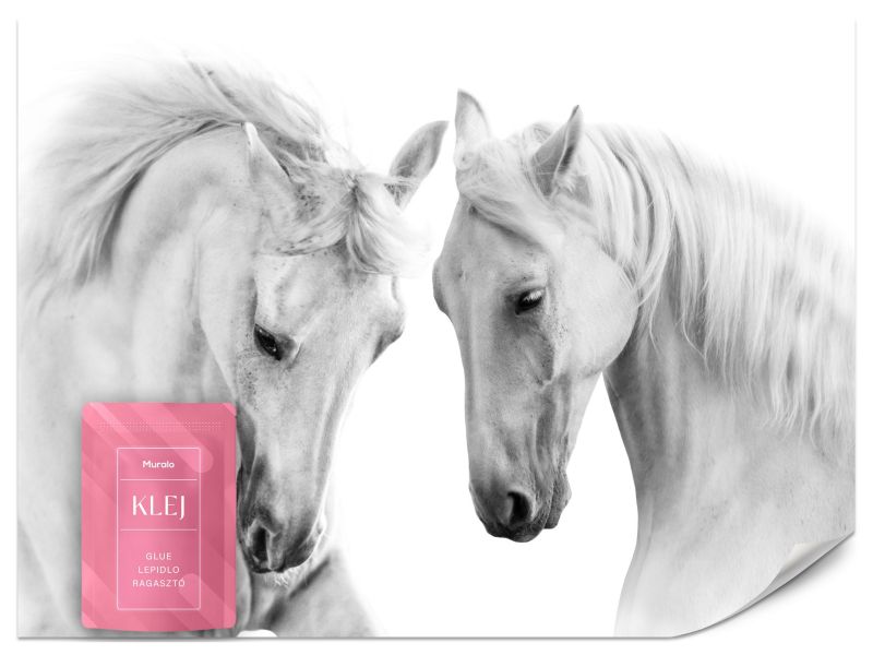 Fototapeta Muralo Dwa Białe Konie 200x140 cm 1szt.