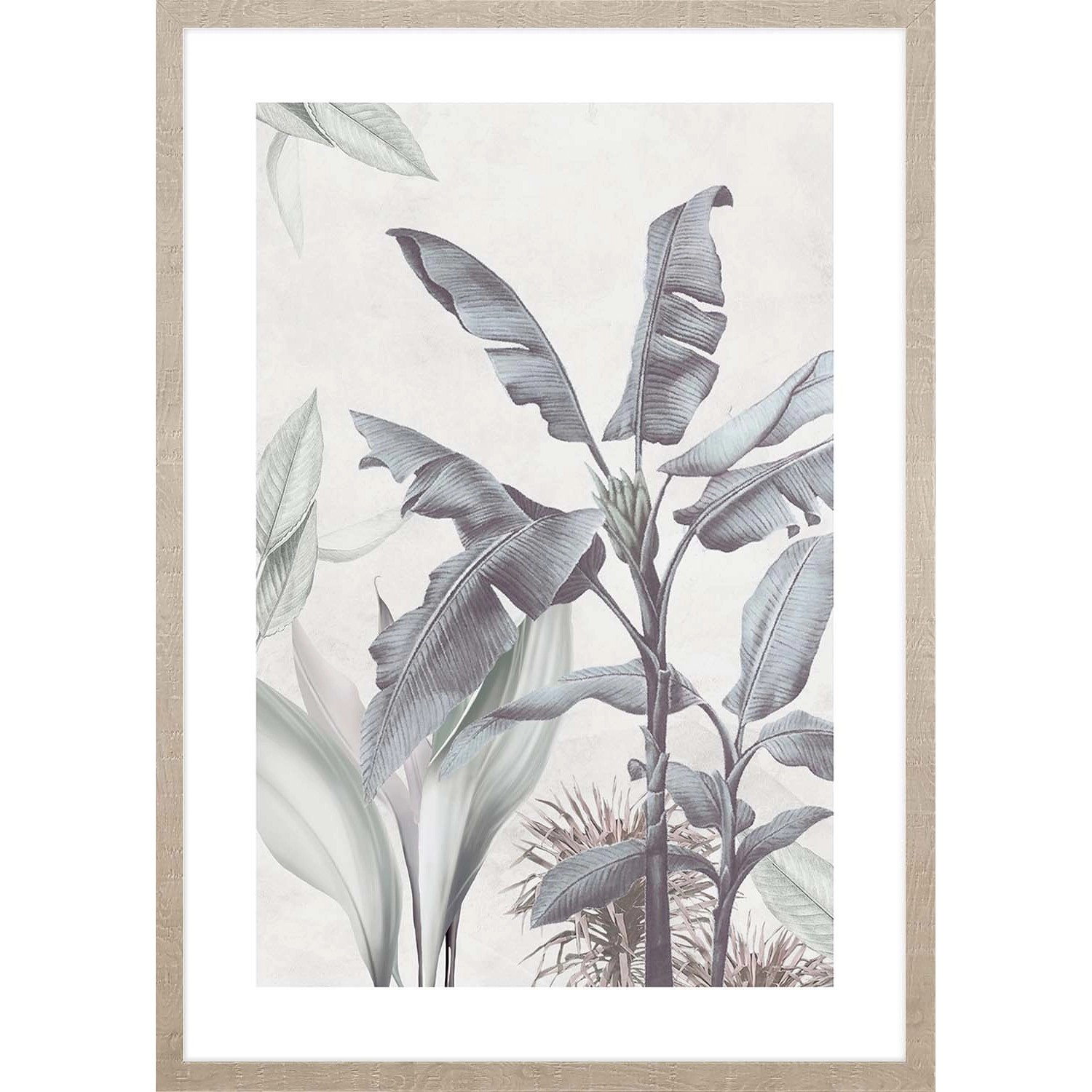 ARS LONGA Obraz STRELICIA no.1 53 x 73 cm