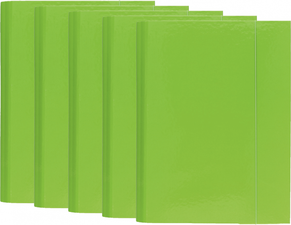 5x Teczka A4 Barbara, skrzydłowa, z gumką, karton, 40mm, zielony