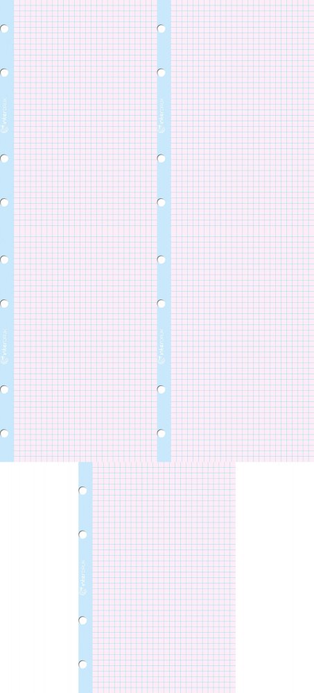 5x Wkład do segregatora w kratkę Interdruk, A4, 50 kartek, kolorowy margines, mix kolorów