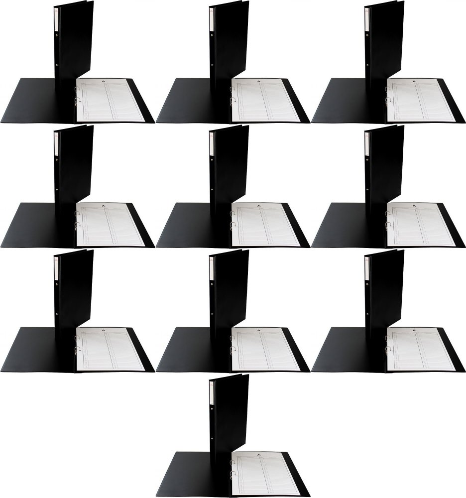 10x Teczka Biurfol, do akt osobowych, A4, 20mm, 2 ringi, czarny