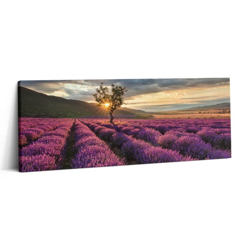 Obraz na płótnie Wallfluent 125x50 cm Pejzaż pola lawendy 1 szt.