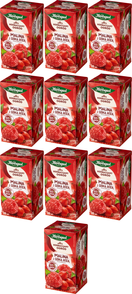 10x Herbata owocowa w torebkach Herbapol Herbaciany Ogród, malina z dziką różą, 20 sztuk x 2,7g