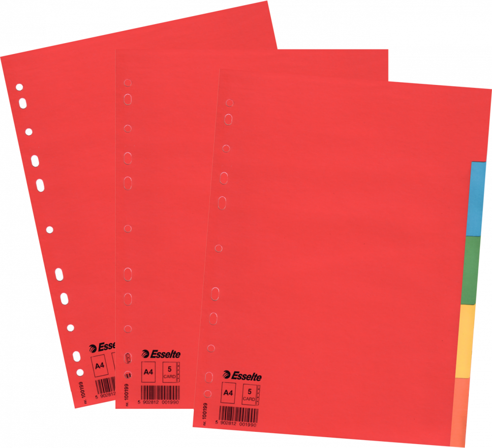 3x Przekładki do segregatora Esselte, kartonowe, A4, 5 kart, mix kolorów