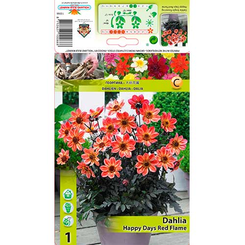 1 cib, Jiřina Happy Days Red Flame - : Monžstvo balíkov: 1 cib