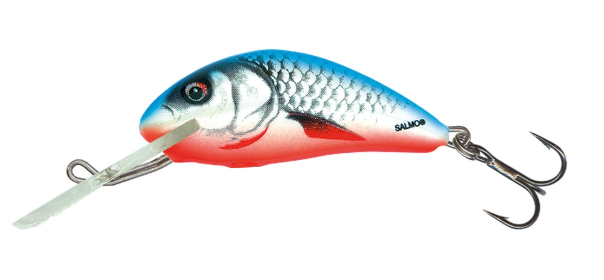 Salmo Wobler Hornet Tonący 2,5cm Dace Blue
