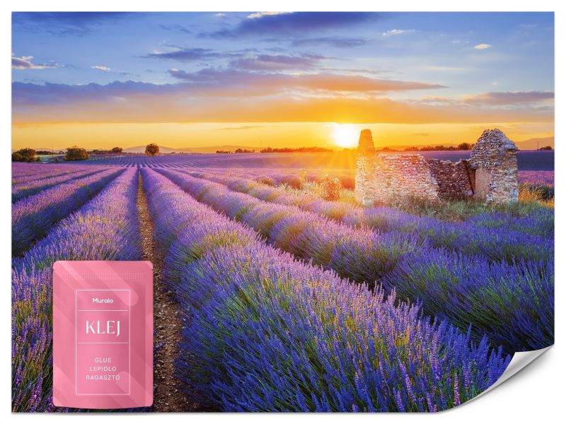 Fototapeta Muralo Pole Lawendy Zachód Słońca 150x105 cm 1szt.