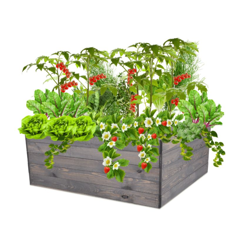 Skrzynia na warzywa MODO24 grządka szara impregnacja 45x120x117 cm 1 szt.