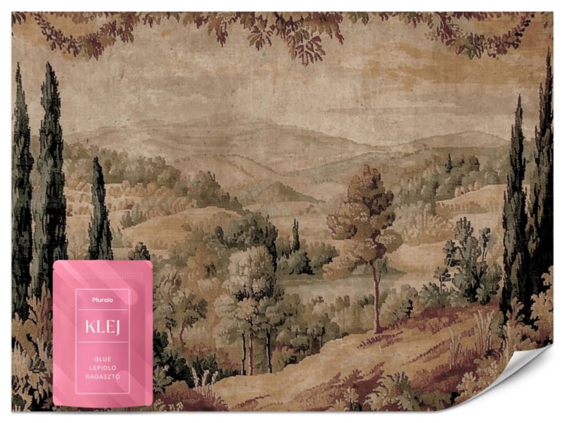 Fototapeta Muralo Krajobraz Vintage 250x175 cm 1szt.