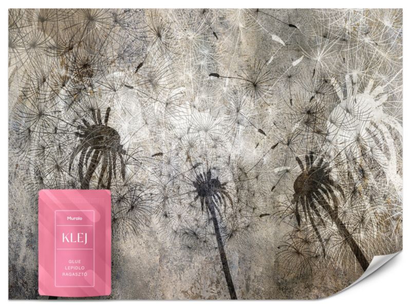 Fototapeta Muralo Dmuchawce Abstrakcja Mural 250x175 cm 1szt.