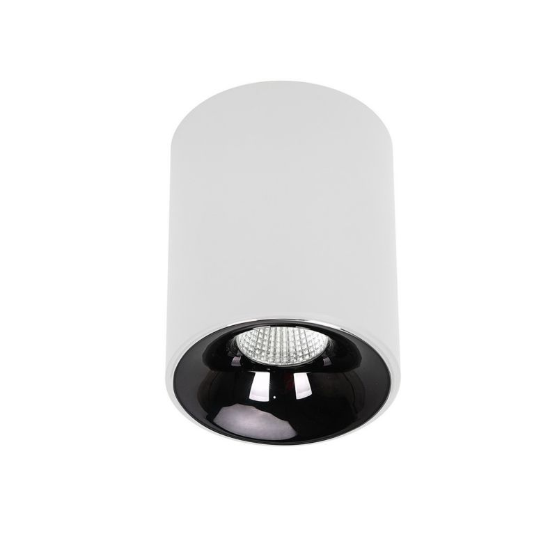 Spot reflektor natynkowy Light Prestige TOM biały LED 1x5W 554lm Odcienie bieli IP20 -1 szt.