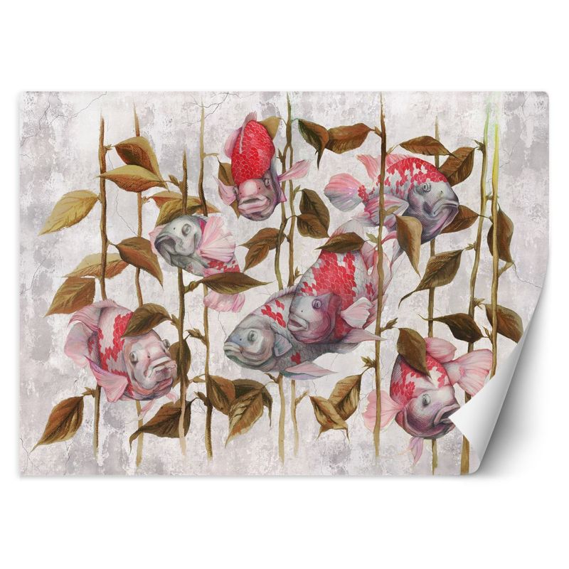 Fototapeta Feeby Czerwone ryby koi japońskie karpie 250x175 1 szt