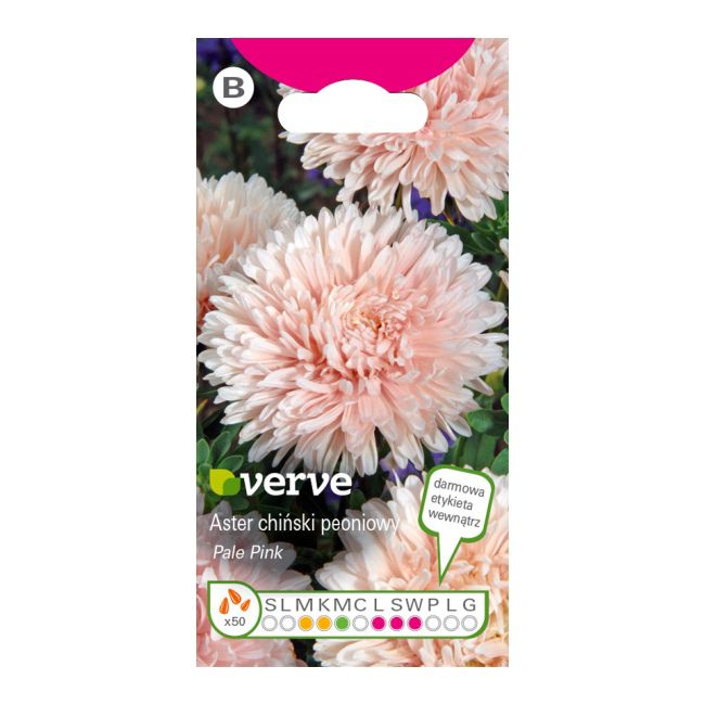 Nasiona aster Pale Pink Verve