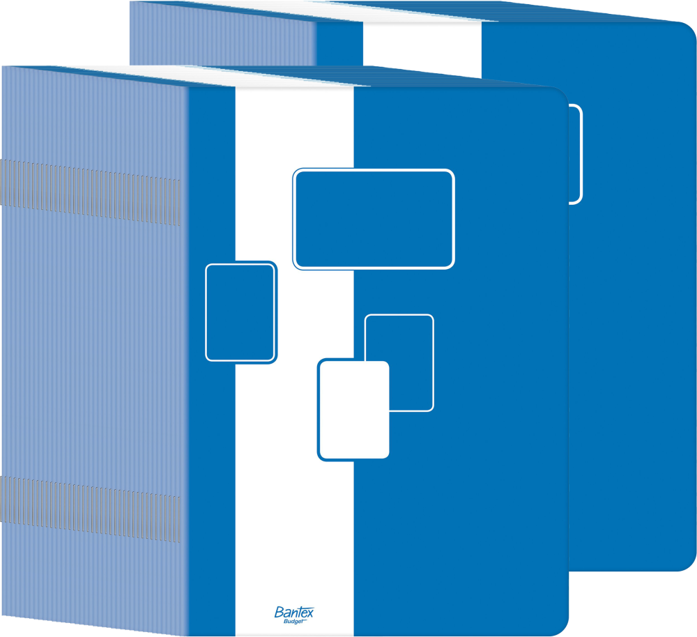 80x Zeszyt w kratkę Bantex Budget, A5, 60 kartek, biało-niebieski