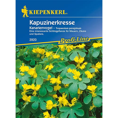 1 szt, Sarkantyúvirági Canary - Magok: Mod de ambalare: 1 db