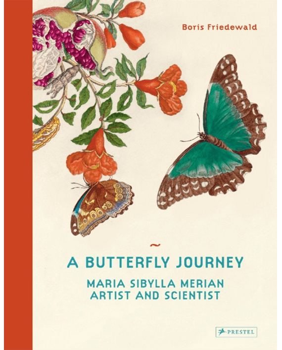 A Butterfly Journey