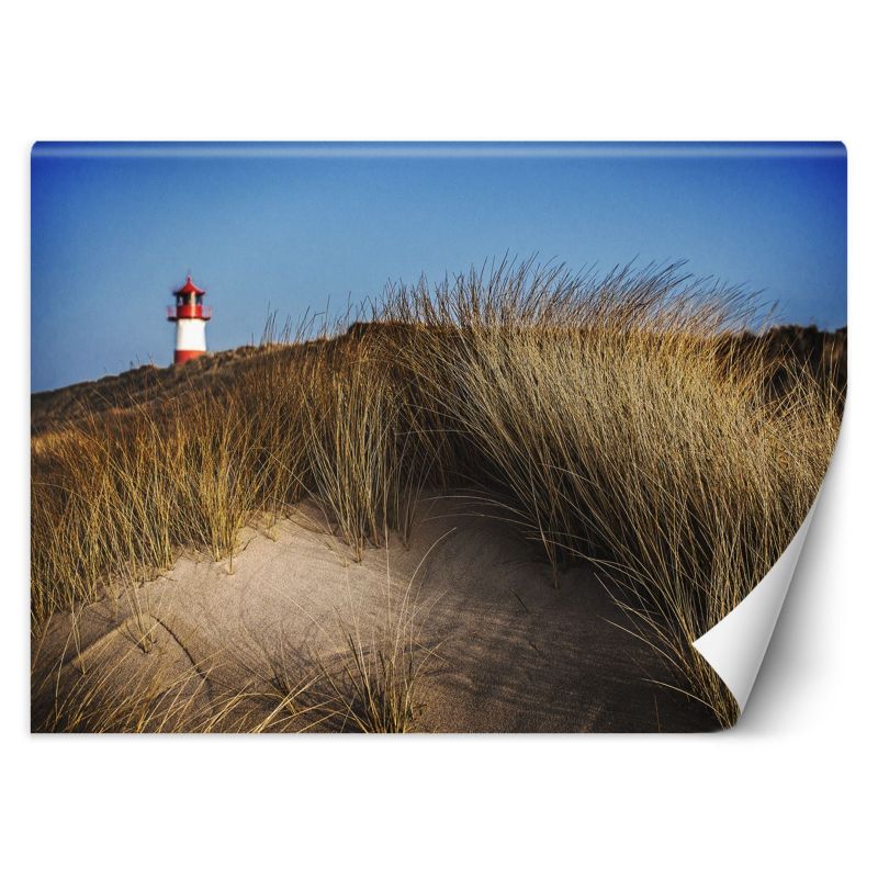Fototapeta Feeby Latarnia morska wydmy trawy morze 100x70 1 szt