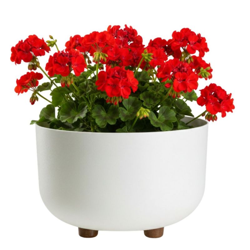 Doniczka misa TERRA HowHomely plastikowa kremowa na nóżkach 26,9 cm 1 sz.