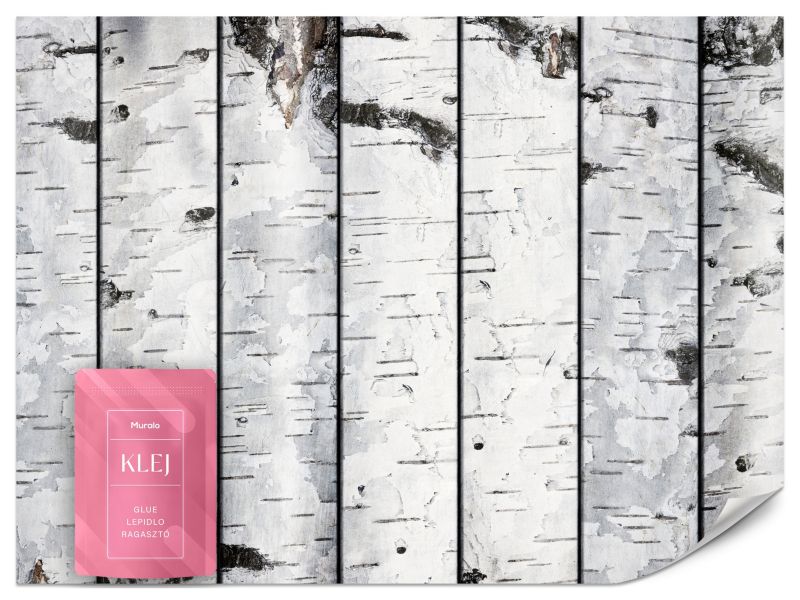 Fototapeta Muralo Brzozy Drzewa Natura 500x350 cm 1szt.