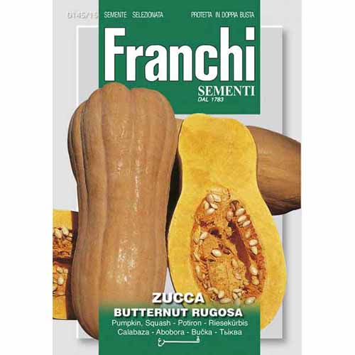 1 szt, Dynia piżmowa Butternut Rugosa Morami - Nasiona: Ilość w opakowaniu: 5 g