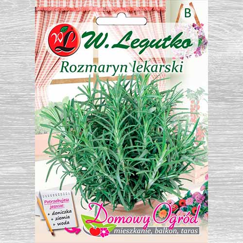 1 szt, Rozmaryn lekarski Legutko - Nasiona: Ilość w opakowaniu: 0.1 g