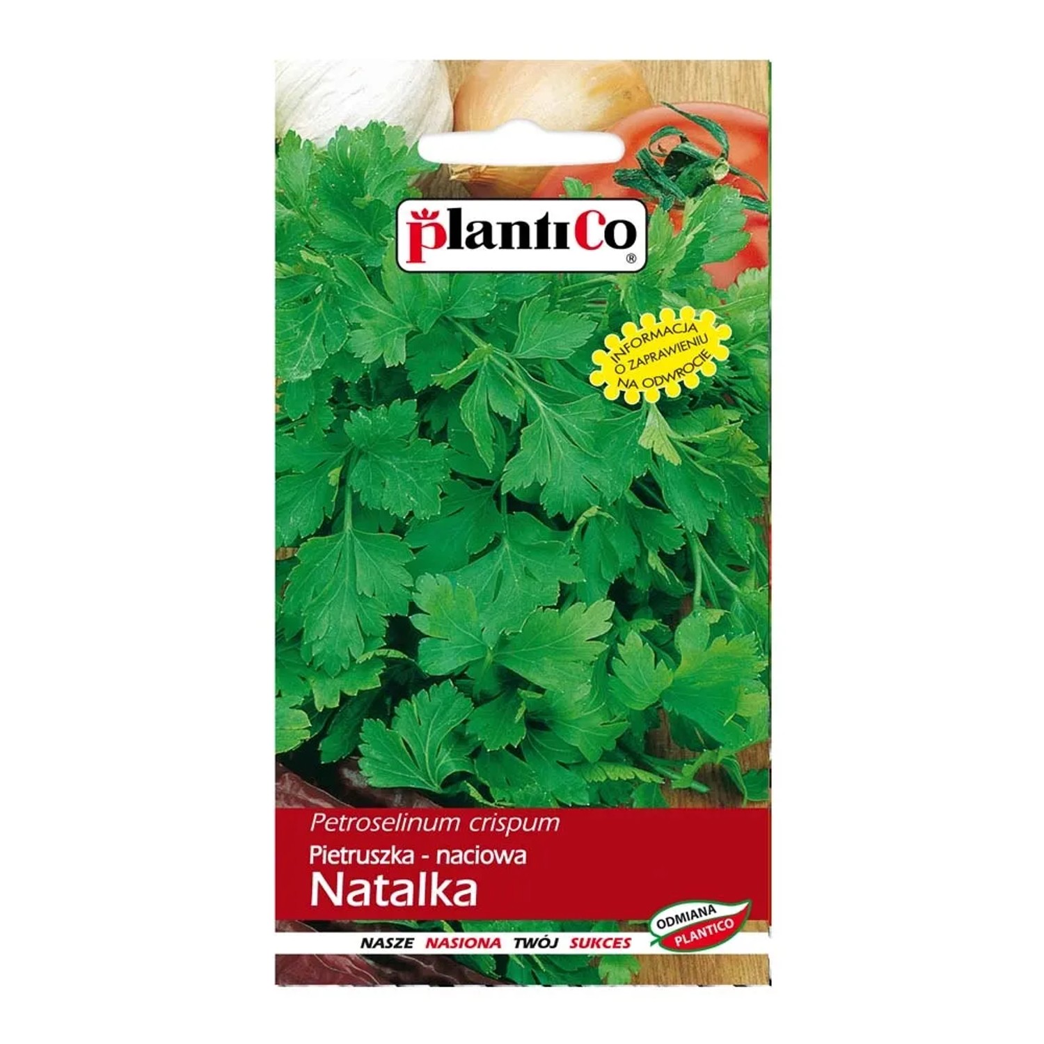 Pietruszka liściowa Natalka