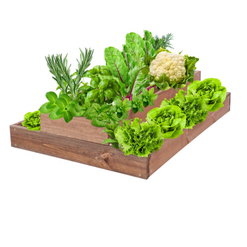 Skrzynia warzywna MODO24 regulowana donica 18x60x60 cm brązowe impregnowane drewno 1 szt