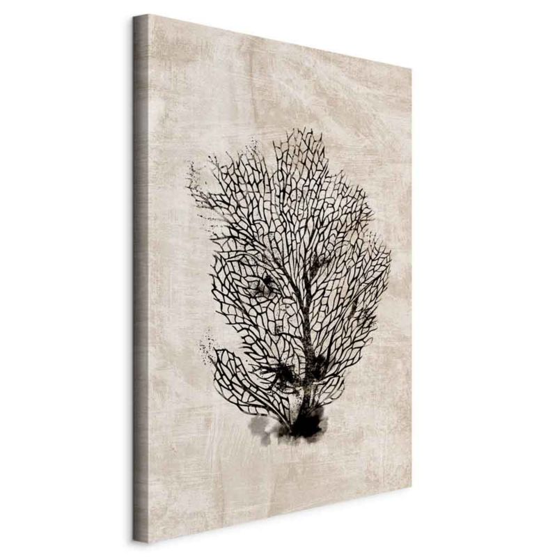 Obraz Artgeist Morski wachlarz 80 x 120 cm flizelina 1 szt