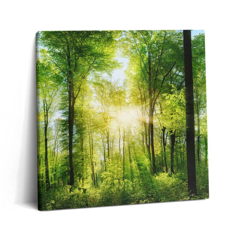 Obraz na płótnie Wallfluent 60x60 cm Natura las drzewa 1 szt.