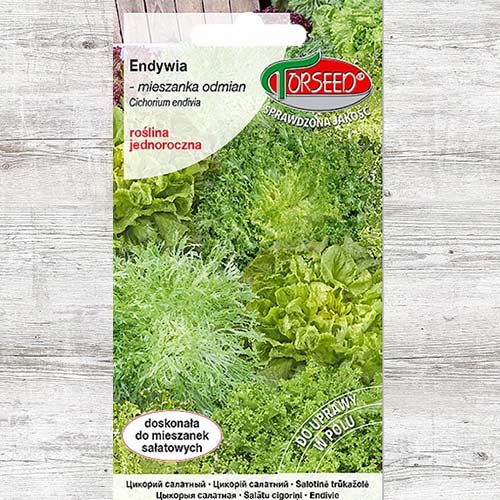 1 szt, Endywia, mieszanka odmian - Nasiona: Ilość w opakowaniu: 2 g