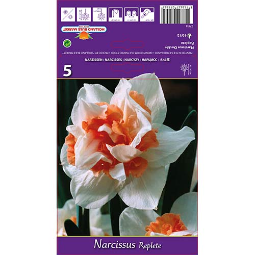 5 kus, Narcis Replete - : Monžstvo balíkov: 5 kus