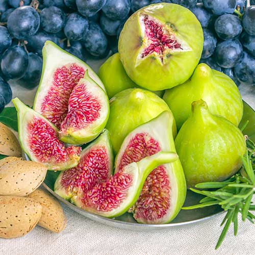 1 saz, Fíkovník Royal White - : Monžstvo balíkov: 1 saz