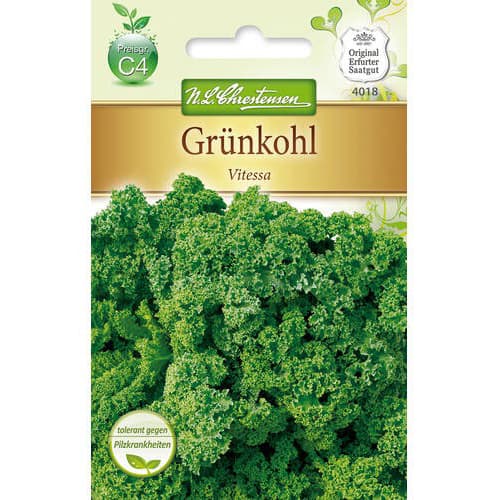 1 szt, Grünkohl Vitessa - Samen: Ilość w opakowaniu: 1 Stück