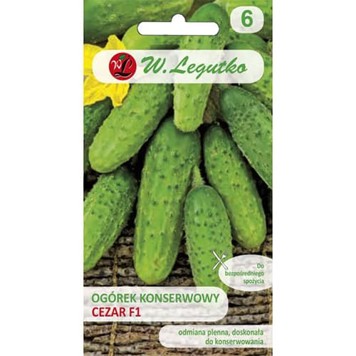 1 szt, Ogorek Cezar F1 - Nasiona: Ilość w opakowaniu: 5 g