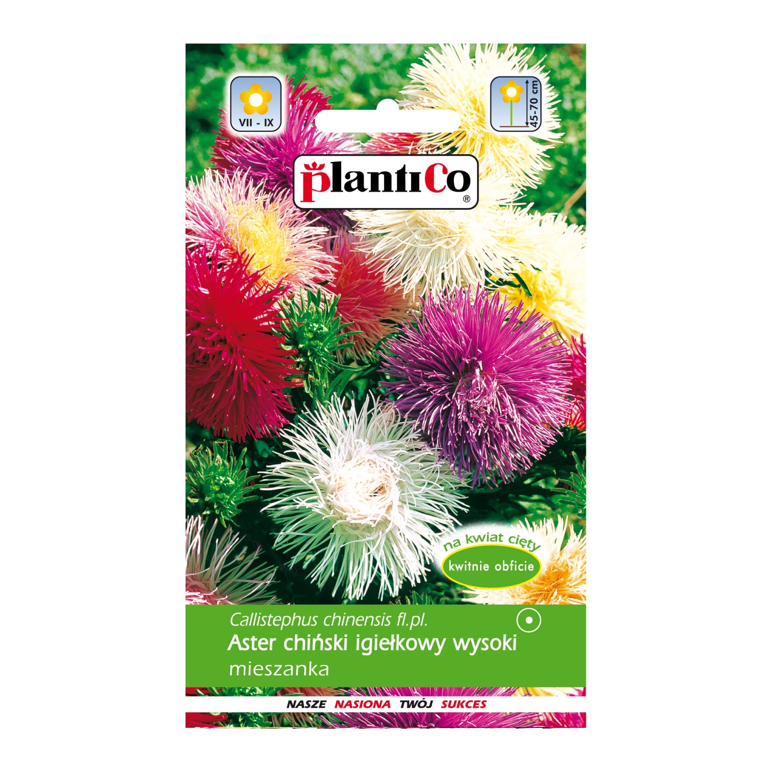 Aster chiński igiełkowy mix