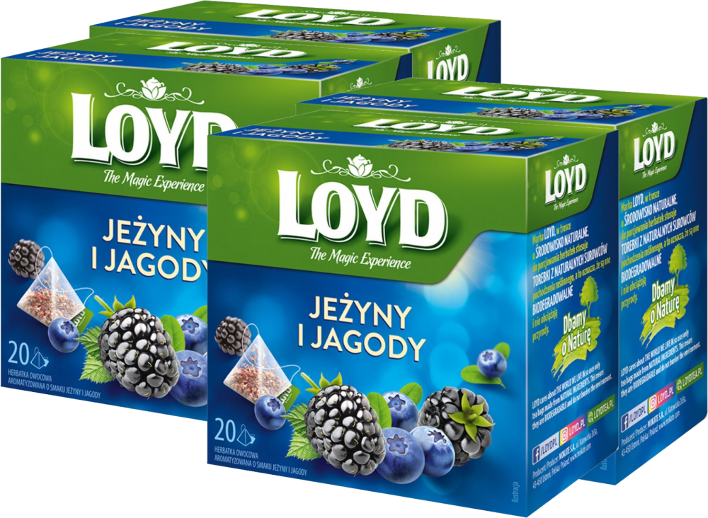 4x Herbata owocowa w piramidkach Loyd Jeżyny i Jagody, 20 sztuk x 2g