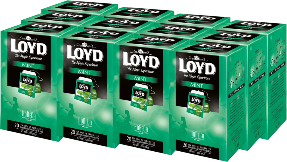 12x Herbata ziołowa w kopertach Loyd Mint Horeca, 20 sztuk x 1.7g