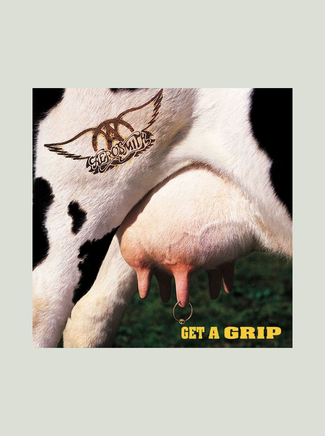 Płyta winylowa Aerosmith - Get A Grip (180g)