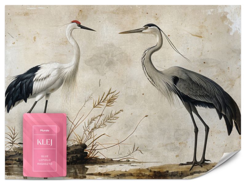 Fototapeta Muralo Ptaki Żuraw Czapla Styl Nowoczesny 250x175 cm 1szt.