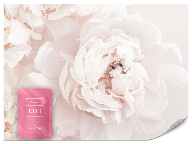 Fototapeta Muralo Jasna Piwonia 200x140 cm 1szt.