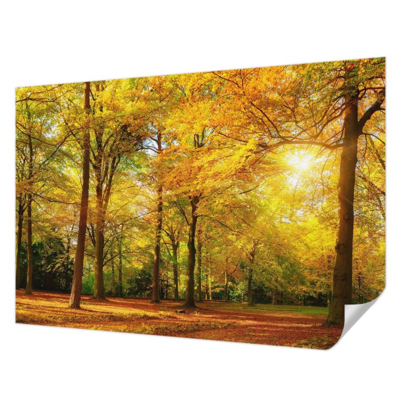 Fototapeta samoprzylepna Tulup 152x104 cm Złote liście Tapeta Do Salonu, Sypialni, Biura 1 szt.