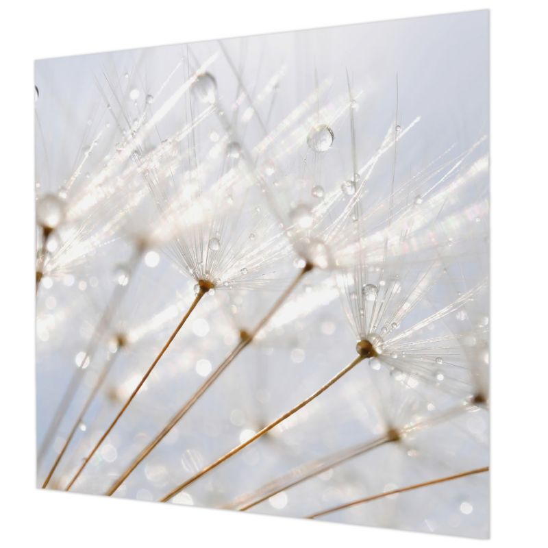 Dekoracyjna Tapeta Do Salonu Tulup 250x250 cm Rosy Dmuchawiec Do Sypialni, Do Salonu, Do Łazienki 1 szt.