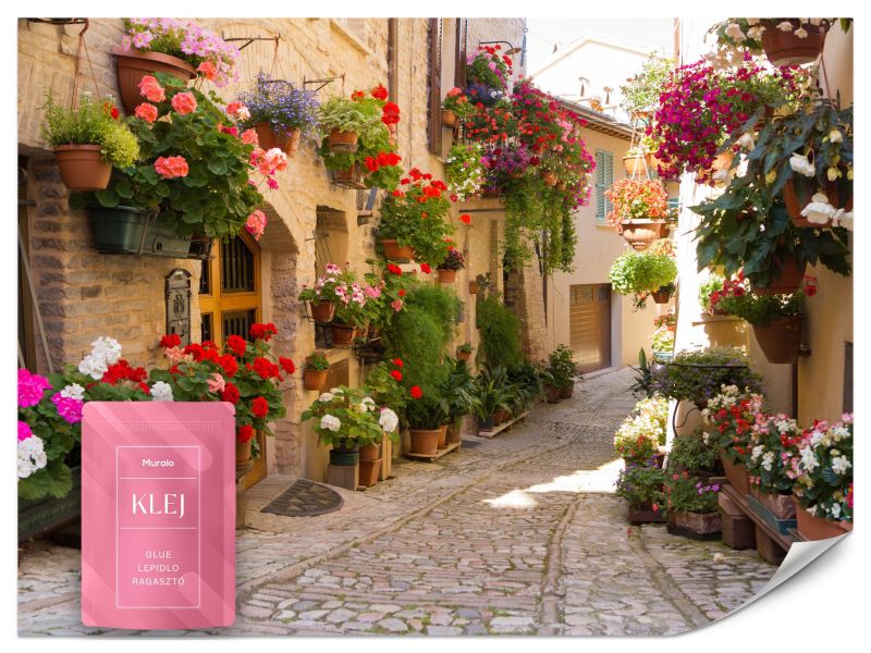Fototapeta Muralo Włoska Uliczka Kwiaty Deptak 450x315 cm 1szt.