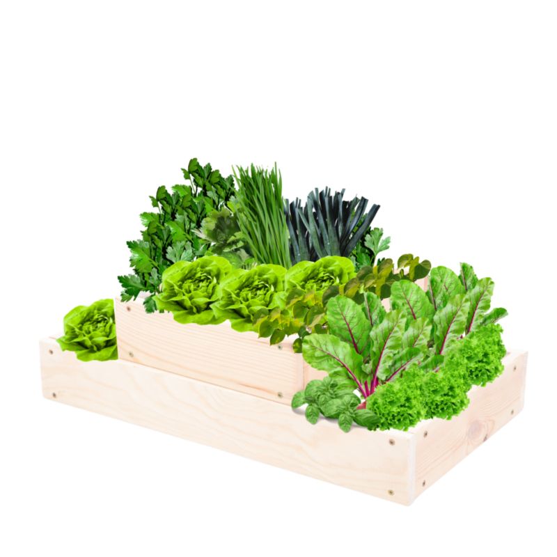 Skrzynia warzywna MODO24 regulowana donica 18x60x30 cm naturalne drewno 1 szt