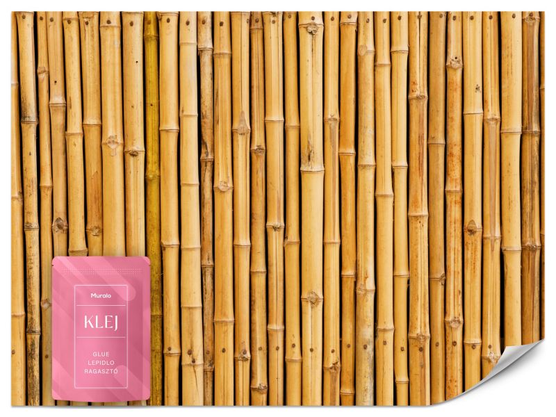Fototapeta Muralo Bambusowa Ściana 450x315 cm 1szt.