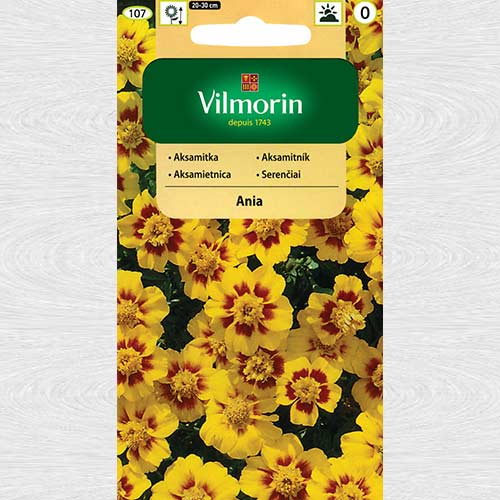 1 szt, Aksamitka rozpierzchła pojedyncza Ania - Nasiona: Ilość w opakowaniu: 1 g