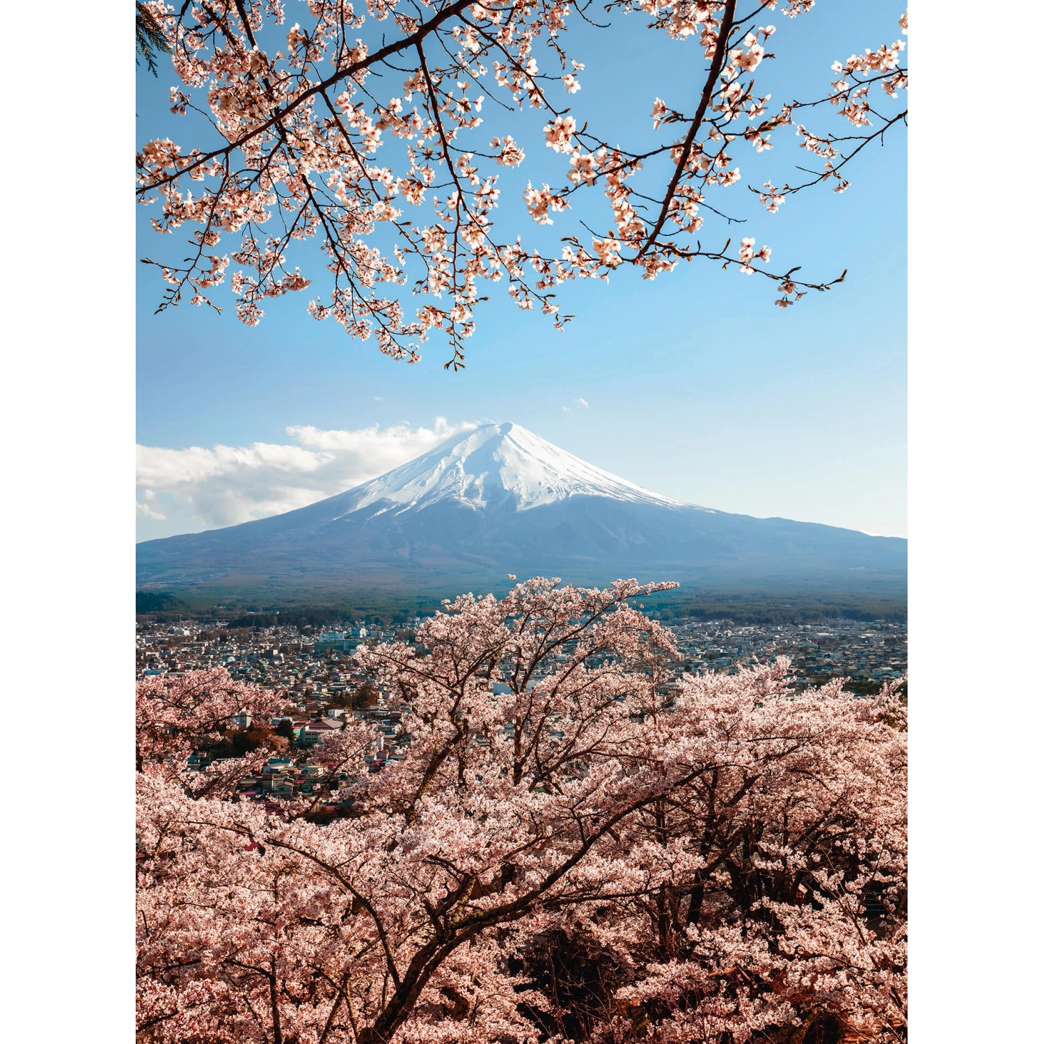 Fototapeta Mount Fuji in Japan 192 x 260 cm
