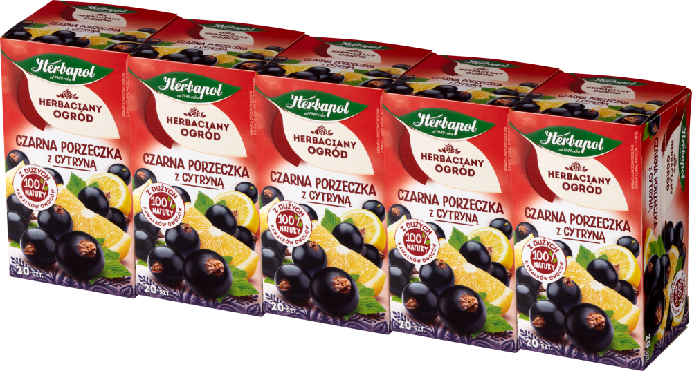 5x Herbata owocowa w torebkach Herbapol Herbaciany Ogród, czarna porzeczka z cytryną, 20 sztuk x 2.7g