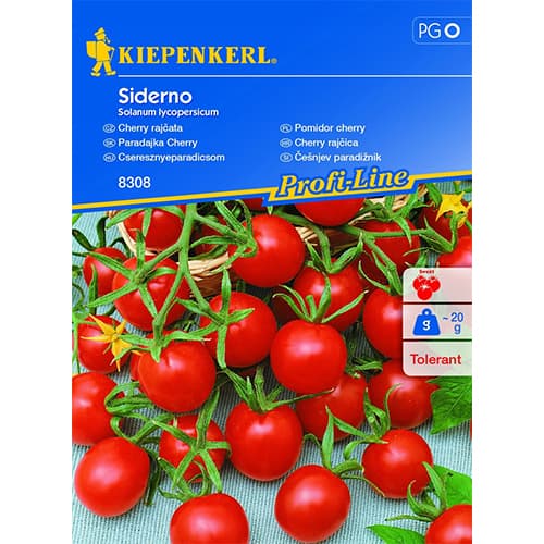 1 szt, Cherrytomate Siderno F1 - Samen: Ilość w opakowaniu: 1 Stück